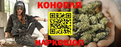 ГАЛЛЮЦИНОГЕННЫЕ ГРИБЫ Свободный