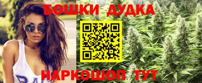 ГАЛЛЮЦИНОГЕННЫЕ ГРИБЫ Свободный