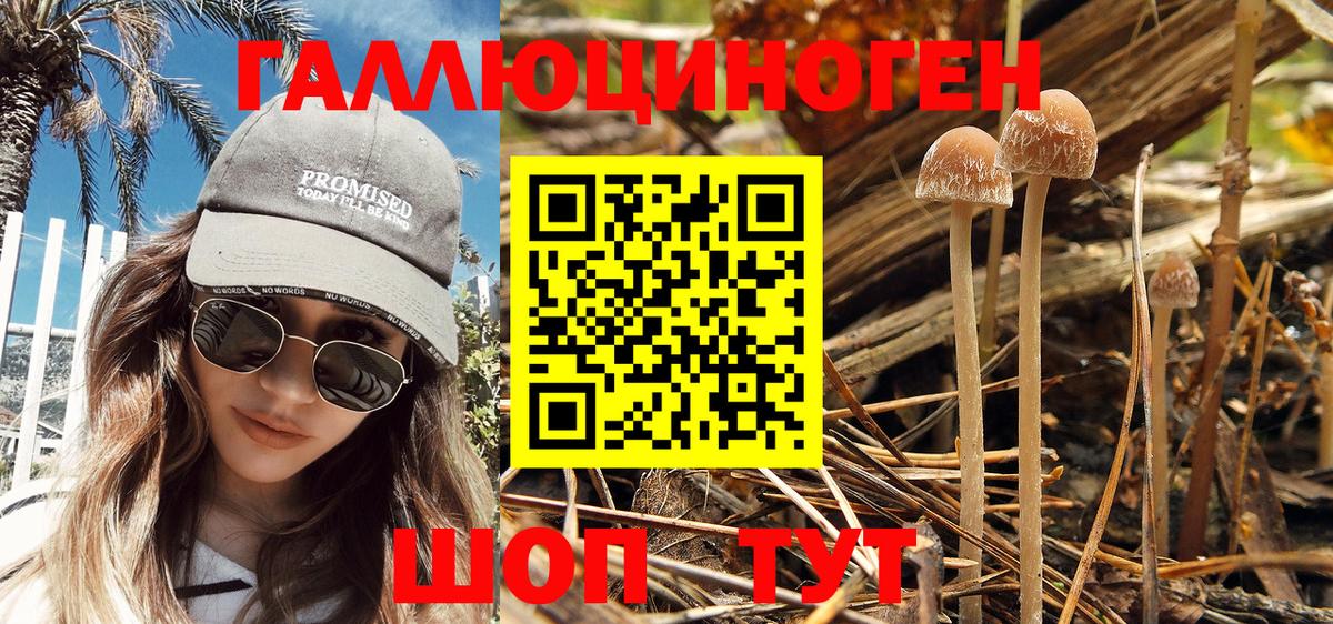 Сальск  Галлюциногенные грибы Psilocybe  Псилоцибиновые грибы Magic Shrooms  Вход с VPN 