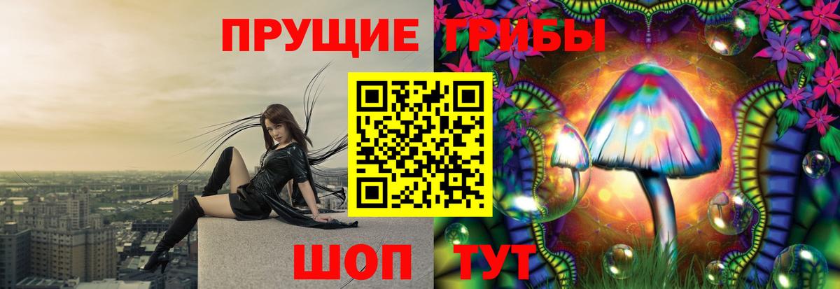 Псилоцибиновые грибы прущие грибы Сальск